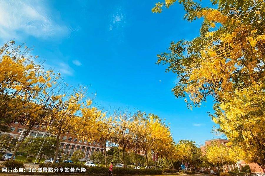 
                                                                        雙花季限定～亞洲大學阿勃勒黃金雨、沐心泉金針花毯、綠美圖台中二日
                                                                        