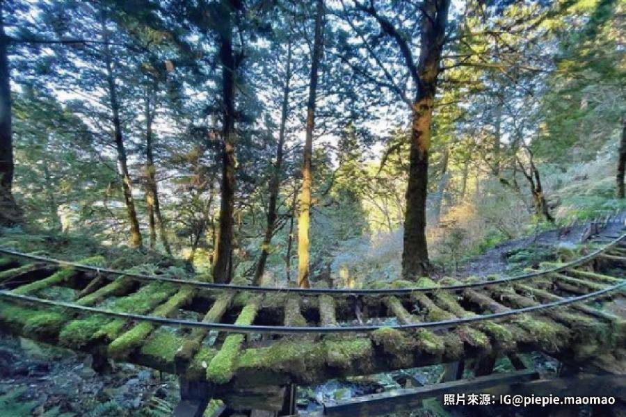 
                                                                        【愜意漫遊重返山林】見晴懷古、太平山森林、蘇澳瓏山林溫泉一泊二食 三日
                                                                        