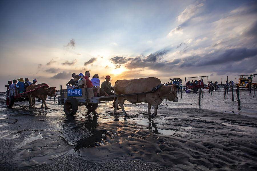 
                                                                        【勇闖潮間帶】海牛車體驗、養蚵人家導覽、潮間帶生態、品嘗現烤鮮蚵 一日
                                                                        