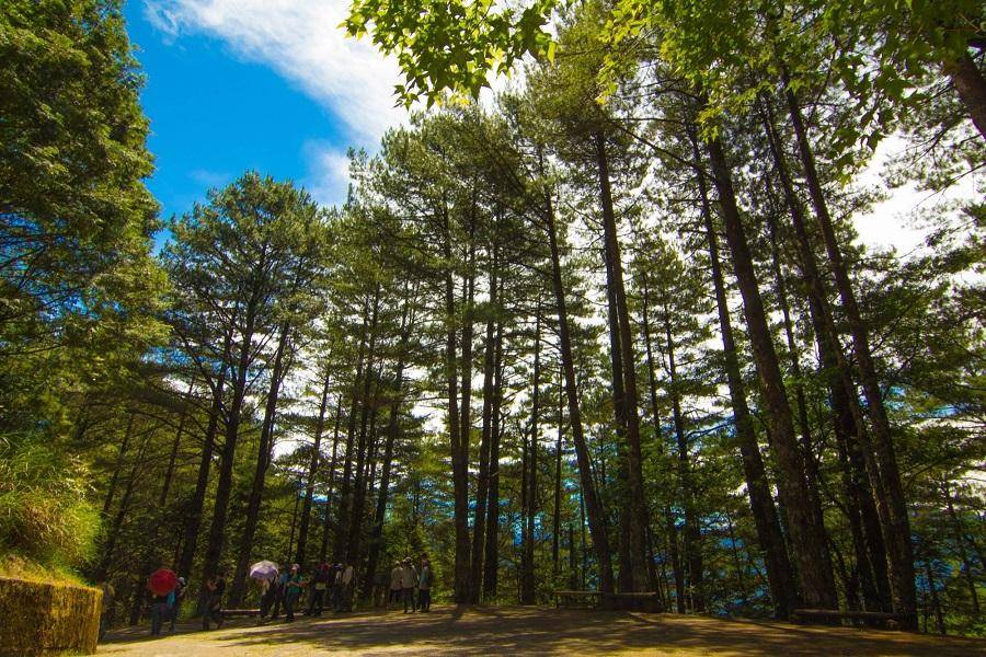 
                                                                                                        【高雄出發】大雪山神木天池啞口、台中綠美圖日光溫泉卓也藍染蔬式饗宴三日
                                                                                                        