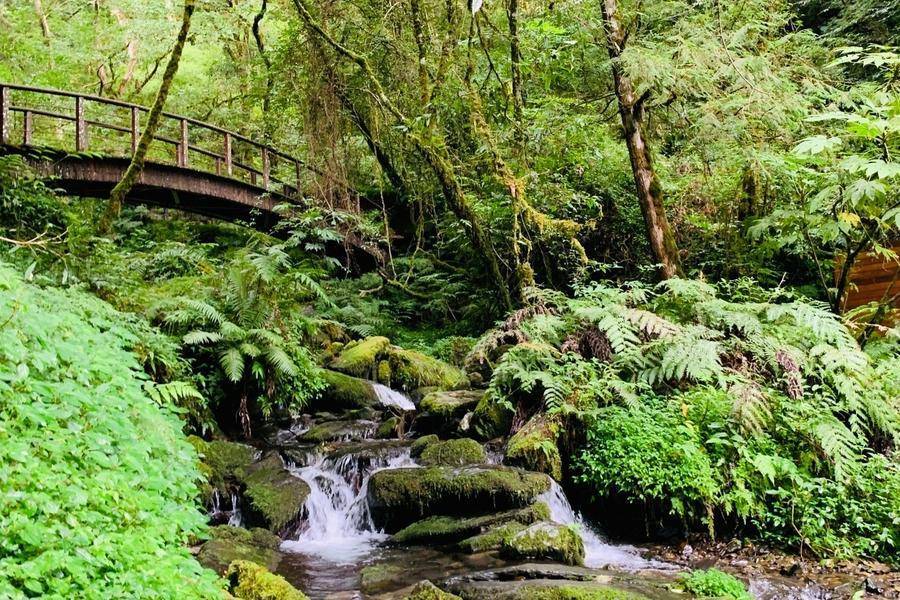 
                                                                                                        【高雄出發】北橫拉拉山、芝蘭海上觀景、極北富貴角燈塔、朱銘美術高鐵二日
                                                                                                        