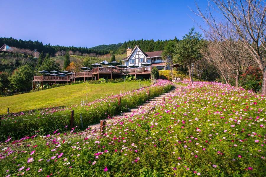
                                                                        山上人家森林農場、歐風莊園個人套餐、文山木棧道、新竹煙波湖濱館二日
                                                                        