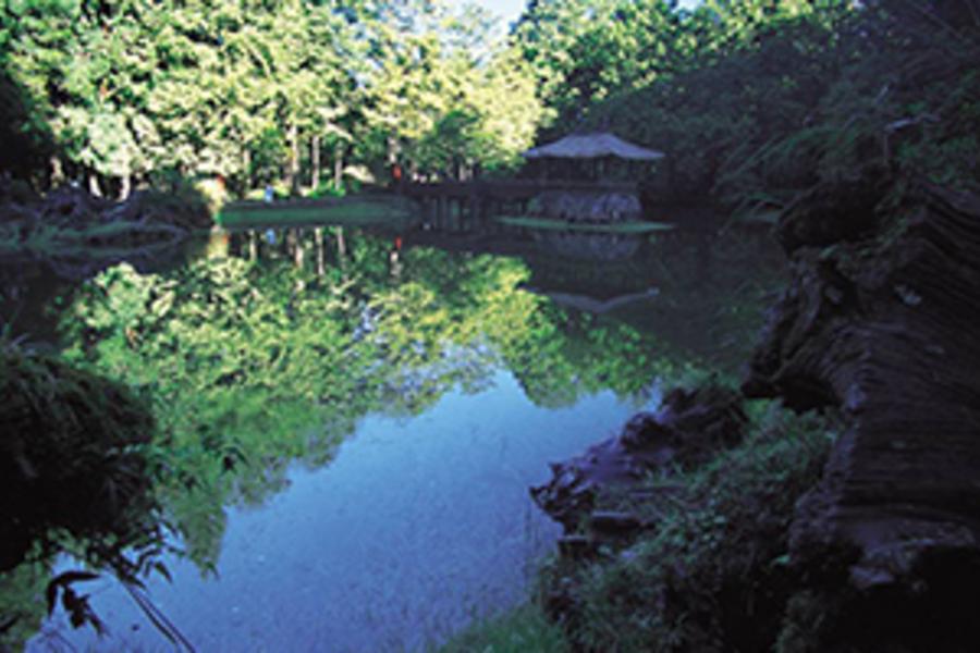 
                                                                        【高鐵假期】嘉義阿里山小火車．觀日出二日精緻遊
                                                                        