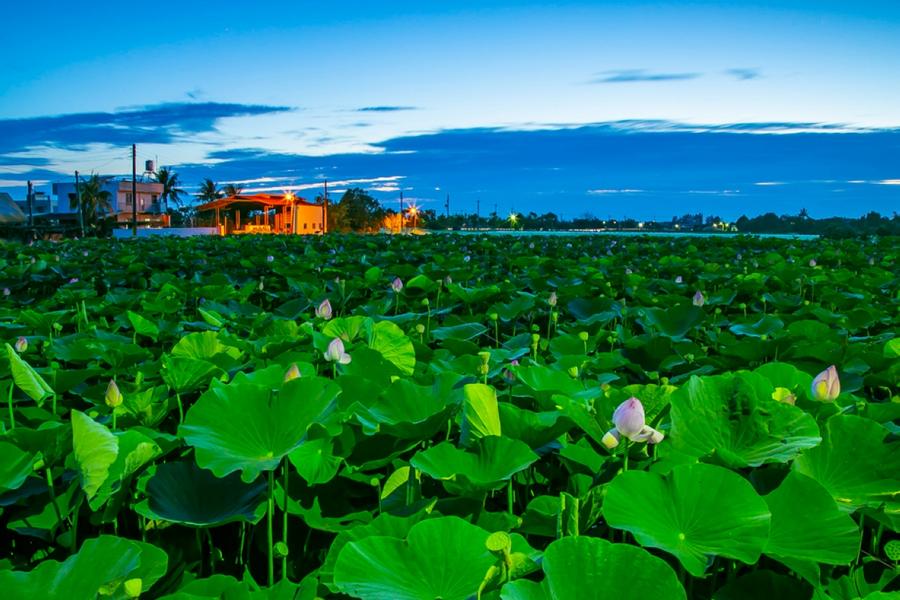 
                                                                                                        【高鐵假期-搭高鐵送租車】台南和運租車(24/36小時)二日自駕遊
                                                                                                        