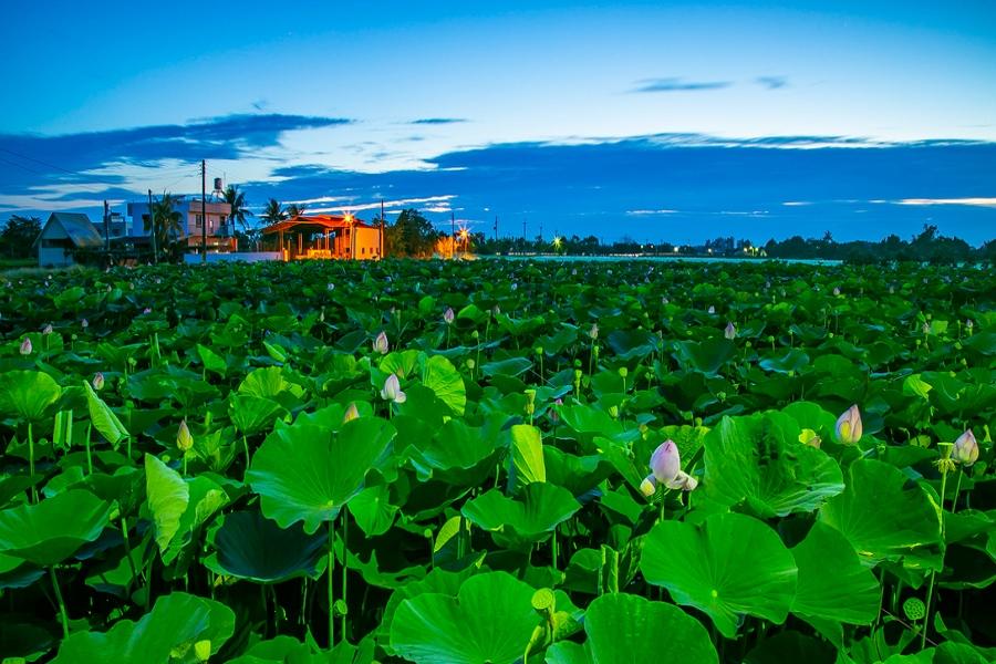 
                                                                                                        【高鐵假期】台南iRent共享汽車(6/10小時)自駕遊
                                                                                                        