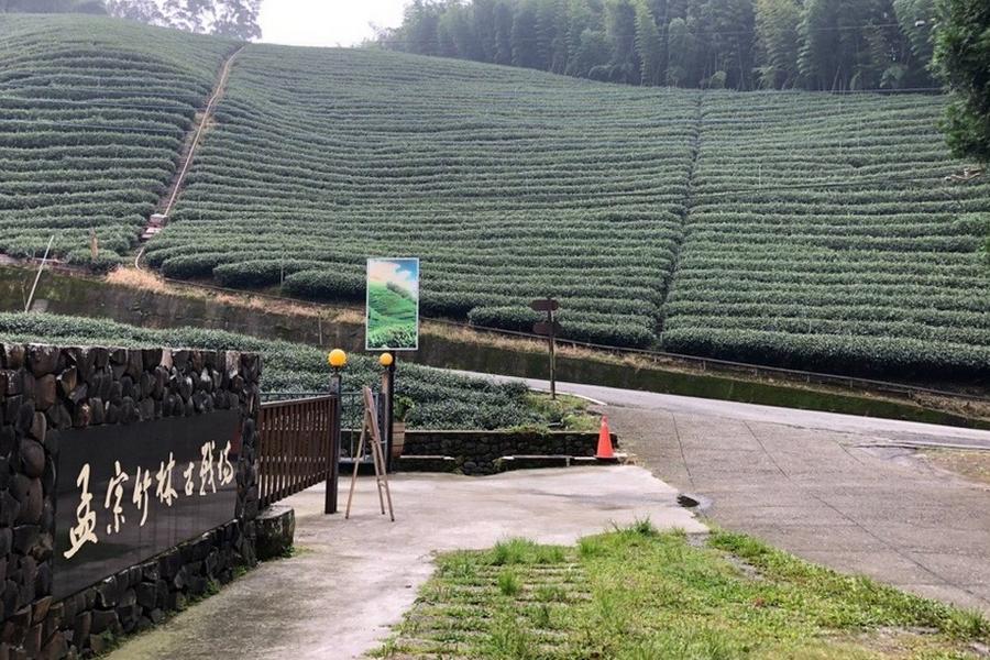 
                                                                                                        【高鐵假期-高年級童樂會】南投溪頭森林．妖怪村．紫南宮1日豐富行
                                                                                                        
