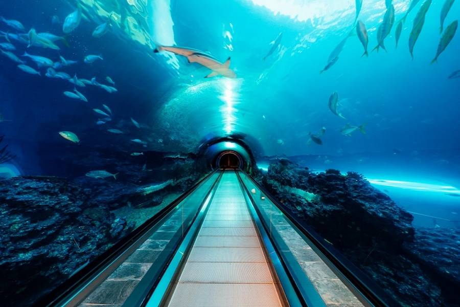 
                                                                        【親子同樂季】屏東海生館門票．格上租車二日自駕遊
                                                                        