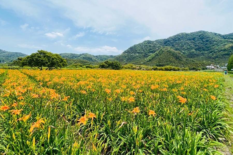 
                                                                        【高鐵南投假期_指定日出發】活盆地探險・喝喝茶・埔里景觀1日豐富行
                                                                        