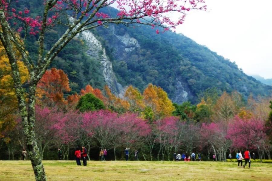 
                                                                                                        【南投】奧萬大國家森林遊樂區｜門票
                                                                                                        