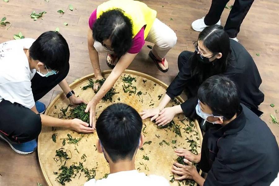 【農遊超市】新北｜天然茶莊｜深度紅茶體驗營 | 旅遊票券體驗 | 東南旅遊
