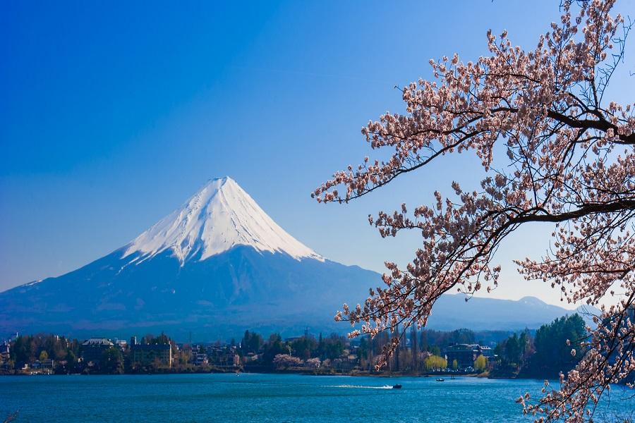 
                                                                                                        日本富士山一日遊｜富士山五合目・河口湖(抹茶體驗)・忍野八海・御殿場一日遊
                                                                                                        