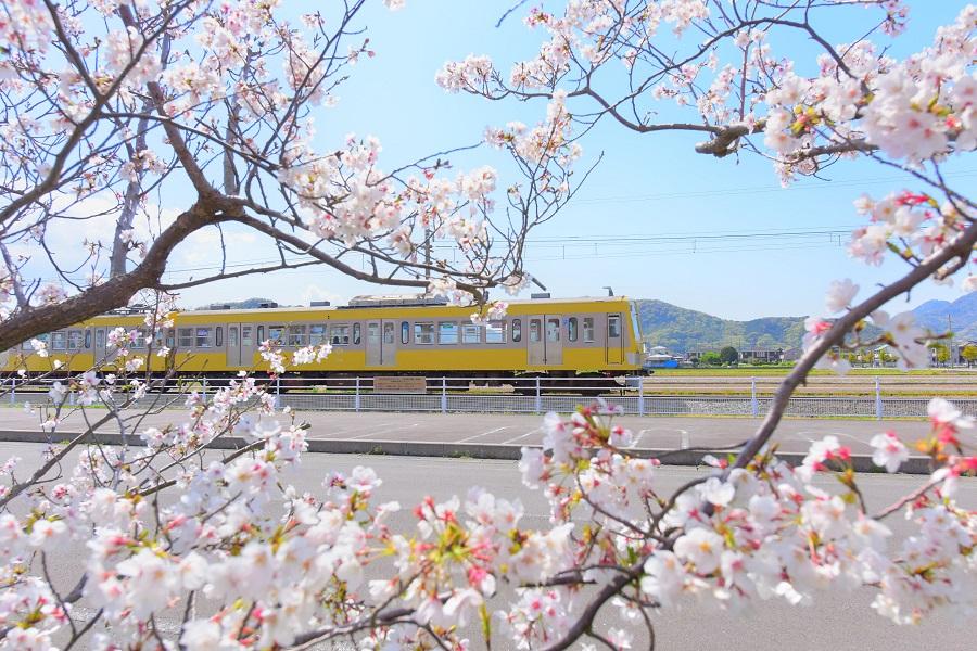 
                                                                                                        伊豆箱根線鐵道 & 巴士1日/2日乘車券
                                                                                                        