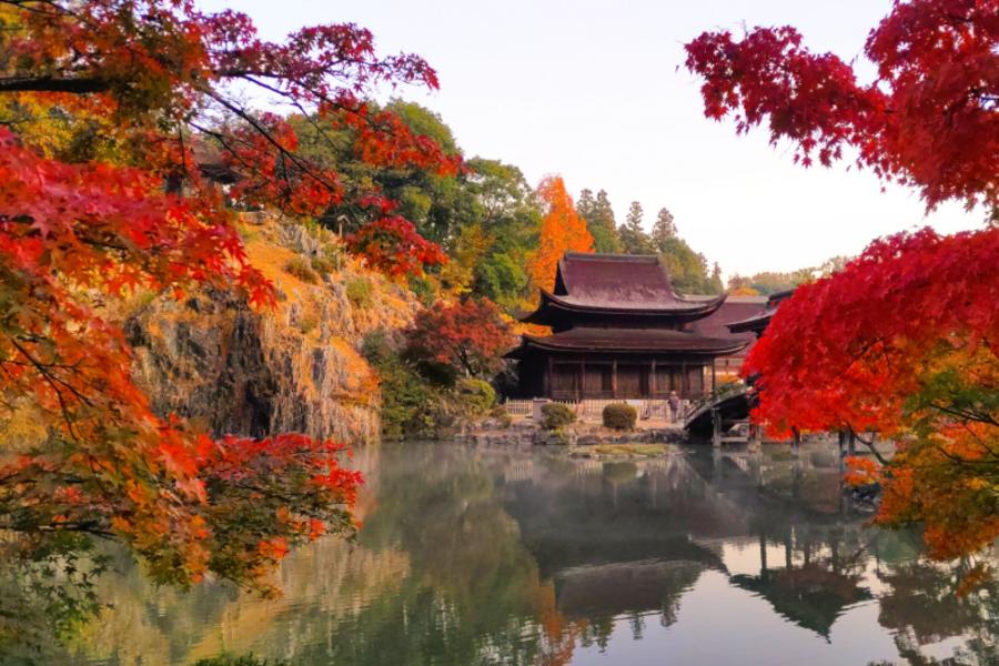 
                                                                                                        【日本】名古屋一日遊｜虎溪山永保寺・恵那峡・馬籠宿・妻籠宿（名古屋出發）
                                                                                                        