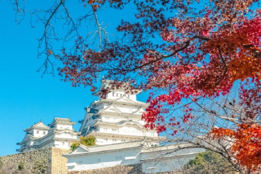 
                                                                                                        【日本】姫路城・有馬温泉・六甲山一日遊｜大阪出發
                                                                                                        