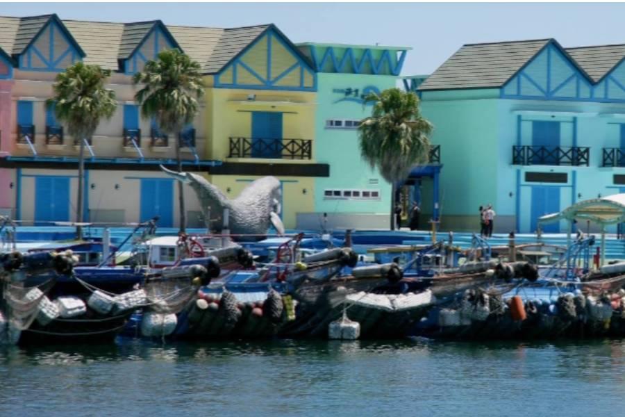 
                                                                        【農遊超市】花蓮 ｜多羅滿賞鯨｜經典友善賞鯨行程
                                                                        