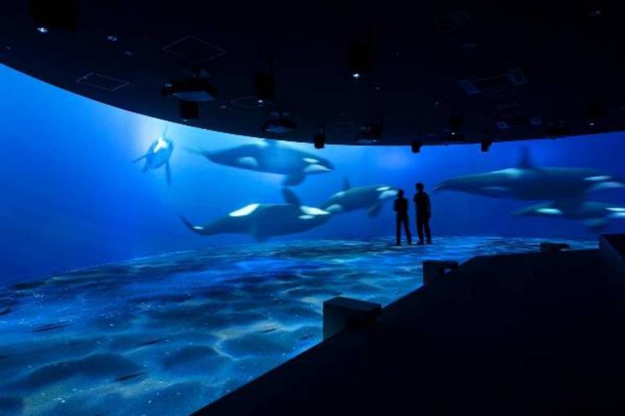 
                                                                                                        【日本】北海道｜札幌水族館AOAO｜門票
                                                                                                        