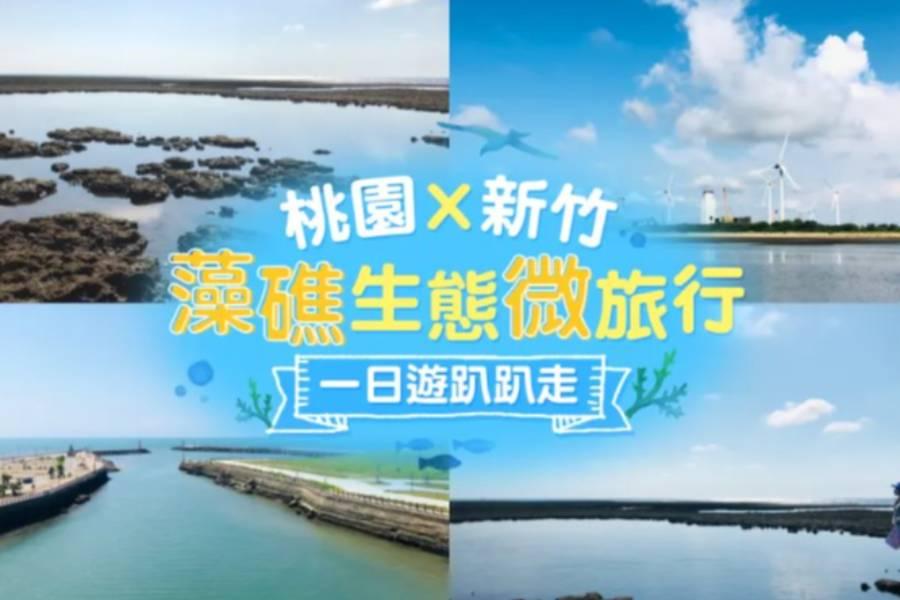 
                                                                                                        桃園X新竹一日遊，觀新千年藻礁、賞蟹大道、永安漁港趴趴走！
                                                                                                        