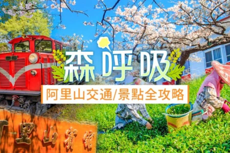 
                                                                                                        阿里山交通攻略一把罩！火車怎麼搭？景點怎麼玩？
                                                                                                        