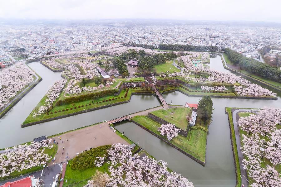 
                                                                                                        【粉櫻北海道】尼克斯海洋、鑽石夜景、五稜郭登塔、青葉丘、賞櫻三溫泉5日
                                                                                                        