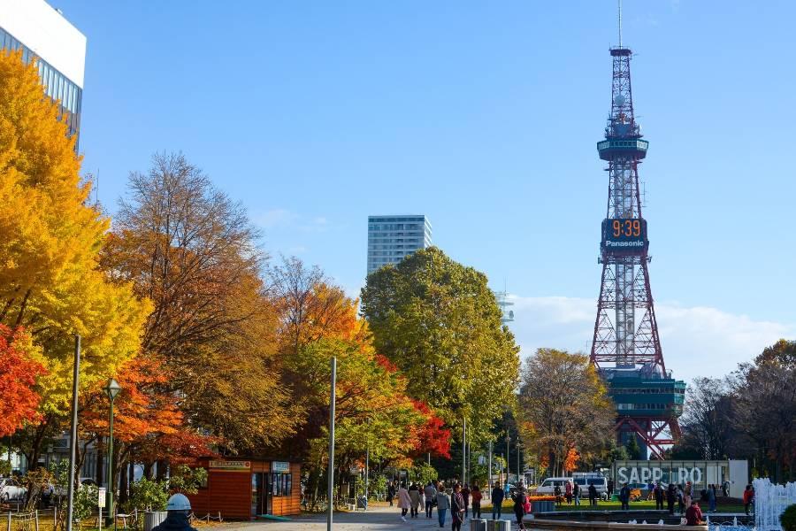 
                                                                                                        ⋆｡ 🍂札幌 2天1夜_機+酒🍂｡ ⋆
                                                                                                        
