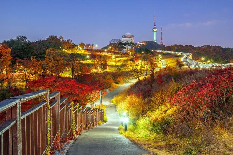 
                                                                                                        ⋆｡ 🍂首爾 2天1夜_機+酒🍂｡ ⋆
                                                                                                        