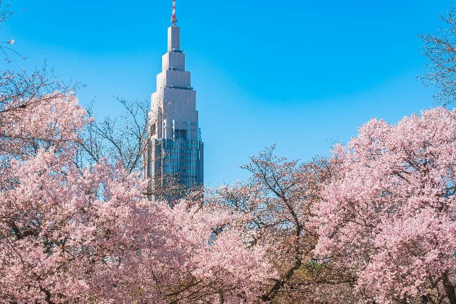 
                                                                                                                        東京
                                                                                                                        