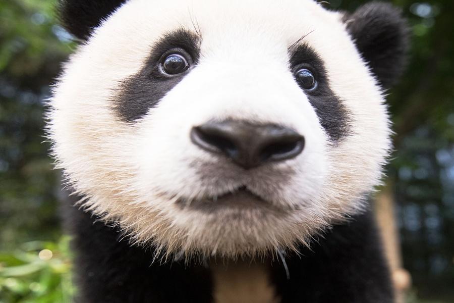 
                                                                                                        韓國愛寶樂園、野生動物園、跑跑卡丁車、小威尼斯、明洞5日
                                                                                                        