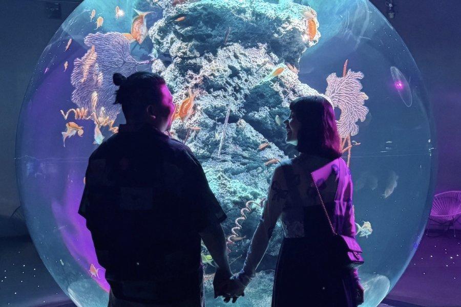 
                                                                                                        【網紅鐵牛婷婷聯名】獨家高空露天浴場‧大阪萬博‧五星大倉‧百萬夜景‧神戶牛5日
                                                                                                        