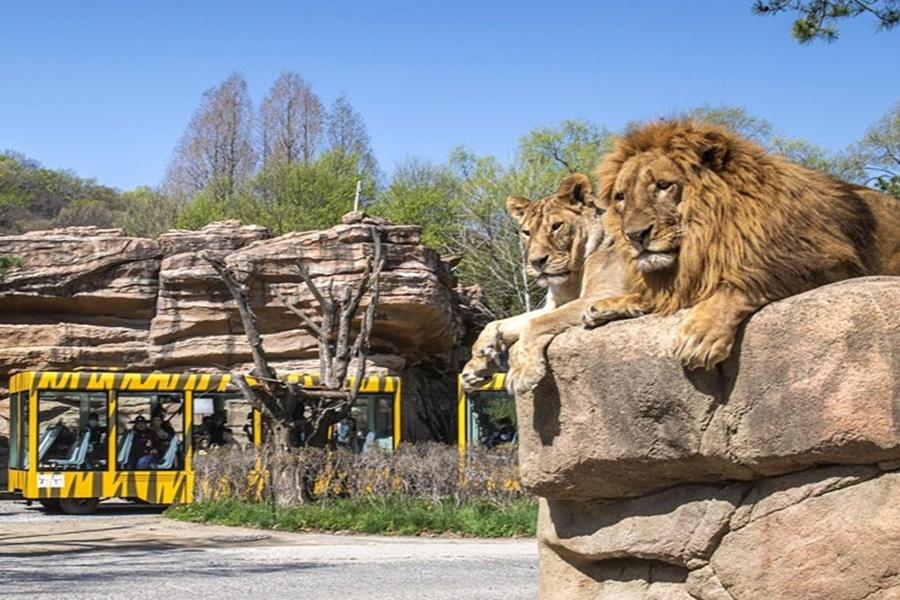
                                                                                                        【升等明洞】花現愛寶樂園、跑跑卡丁車、聖水洞、韓服遊北村、自由活動5日
                                                                                                        