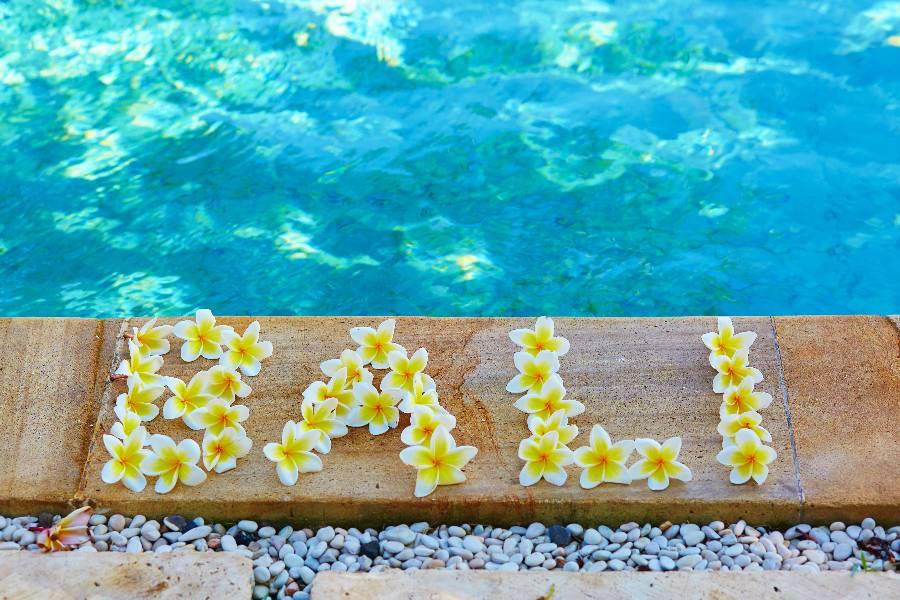 ღ努沙杜瓦區ღ 機+酒