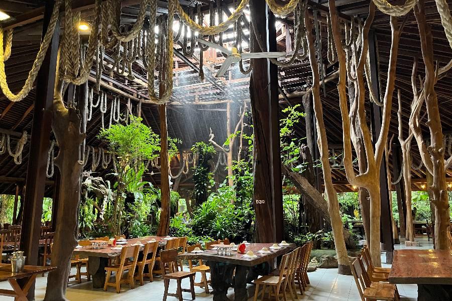 
                                                                                                        黑森林餐廳
                                                                                                        