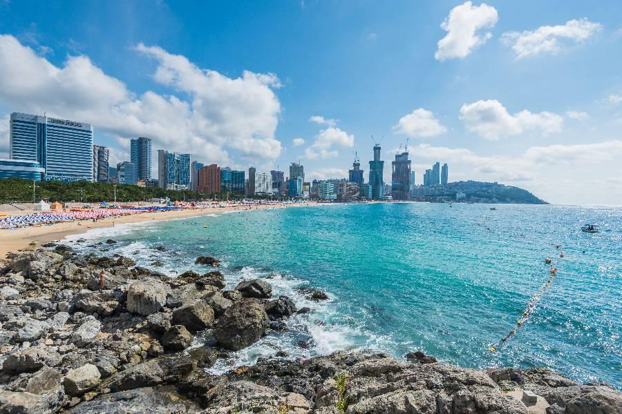 
                                                                                                        🌙 ◍釜山機+酒◍🌙
                                                                                                        