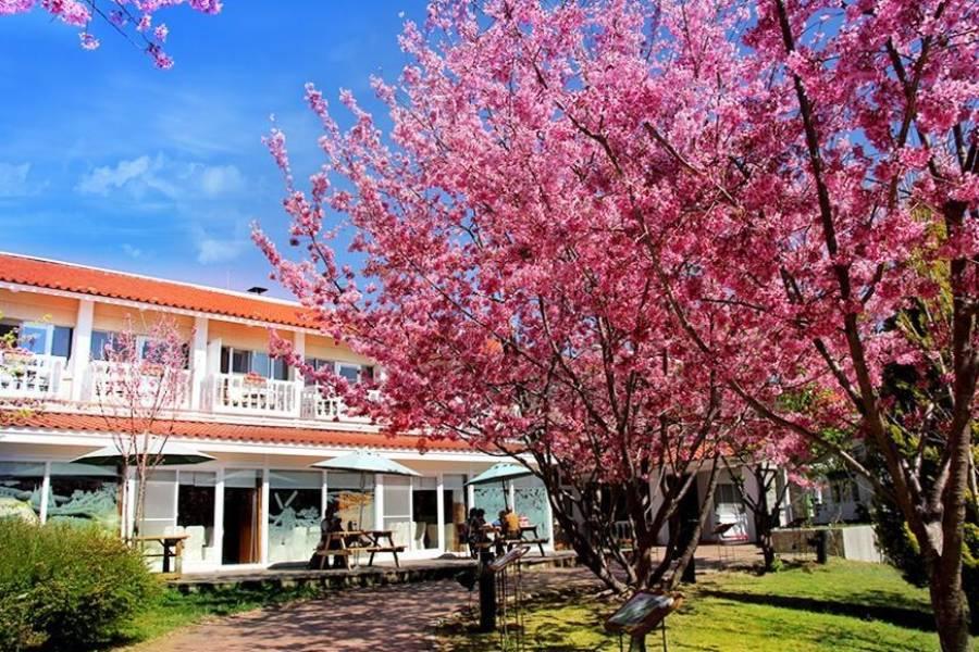 
                                                                                                        清境農場國民賓館
                                                                                                        