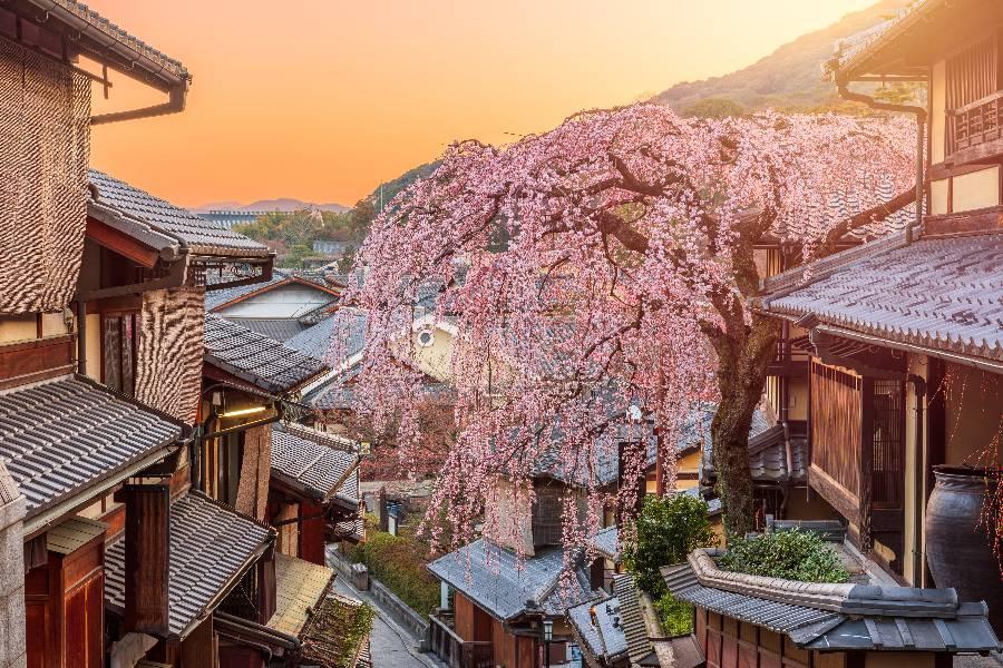 
                                                                        ☄︎京都 機+酒☄︎
                                                                        