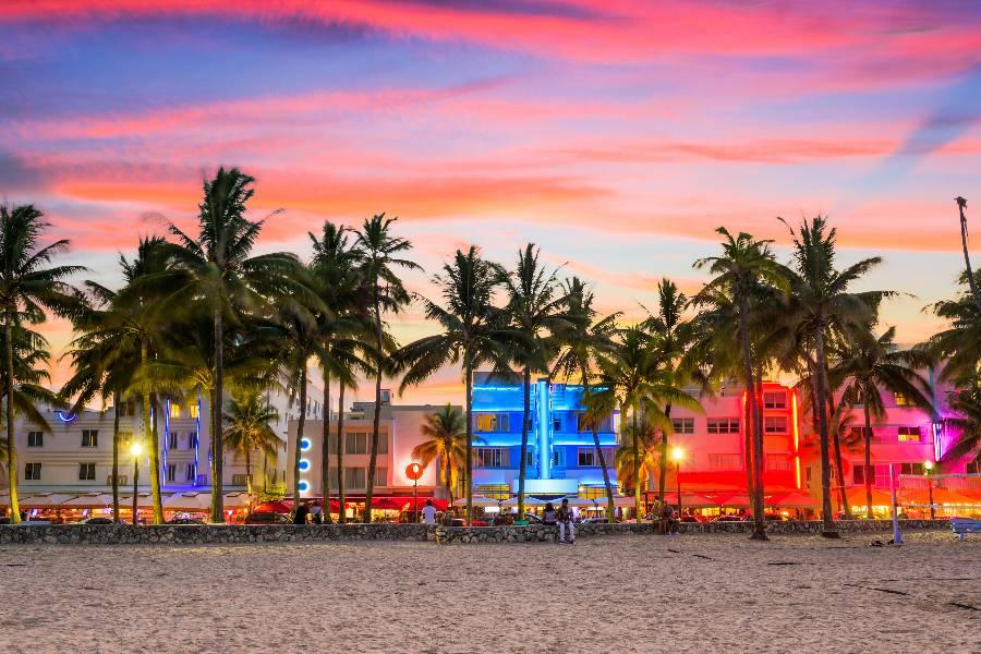 
                                                                                                                        邁阿密✈︎機+酒
                                                                                                                        