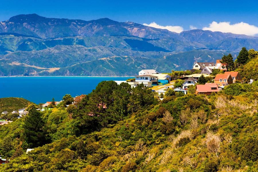 
                                                                                                                        威靈頓✈︎機+酒
                                                                                                                        