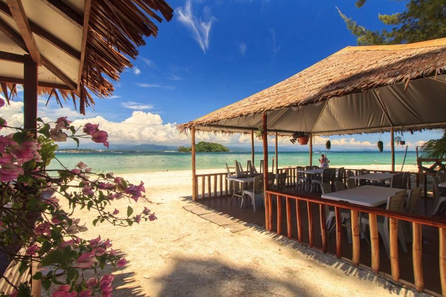 
                                                                        🍭✨沙巴 機+酒✨🍭
                                                                        