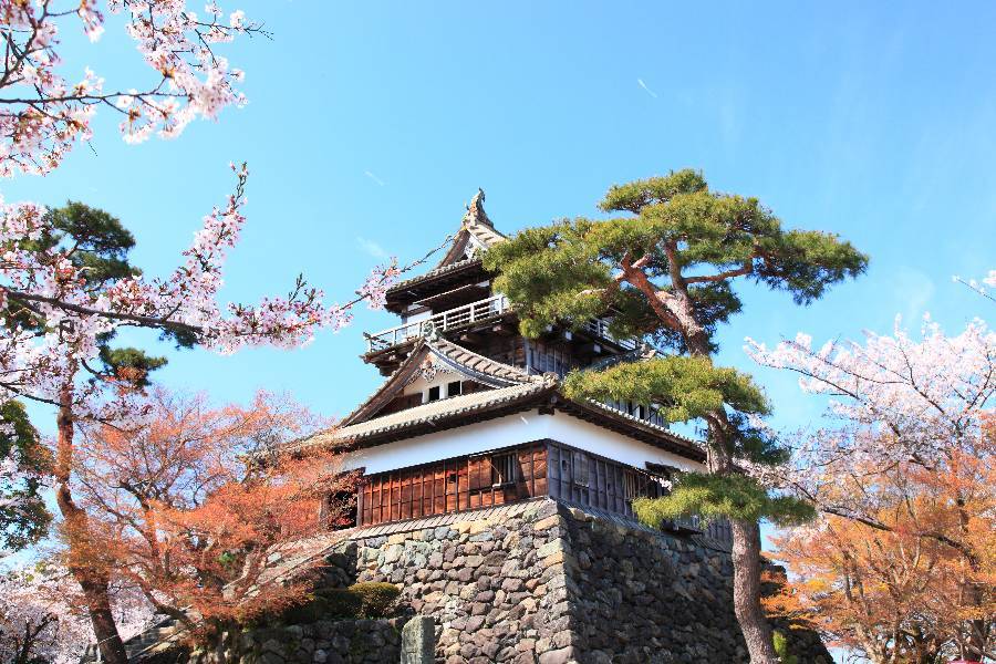 
                                                                                                        ⋆⁺₊⋆福井 機+酒⋆⁺₊⋆
                                                                                                        