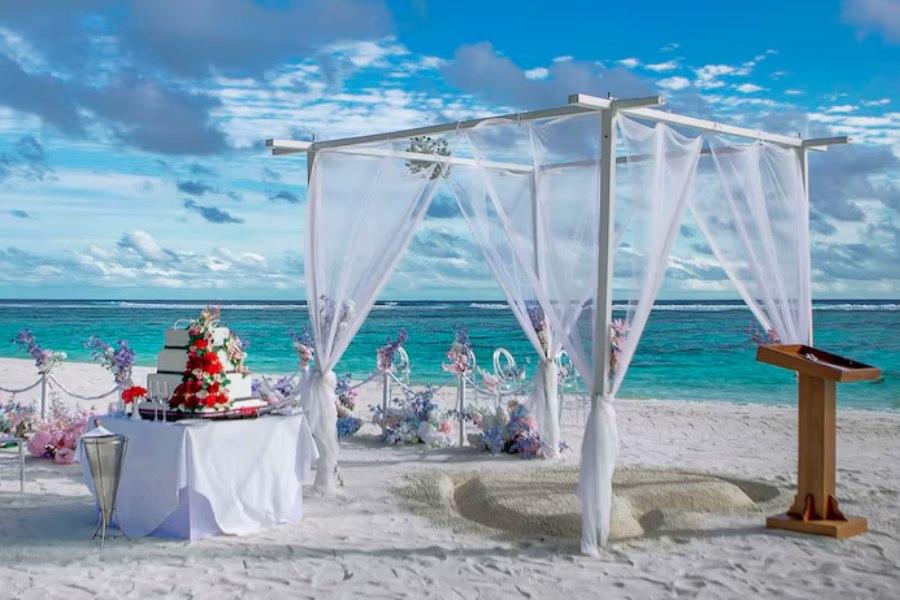 
                                                                        浪漫餐飲與甜點
                                                                        