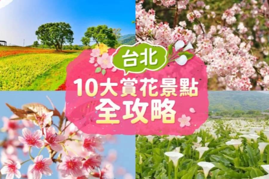 
                                                                        【台灣旅遊】台北賞花攻略就看這包！十大台北賞花景點，等你來打卡！
                                                                        