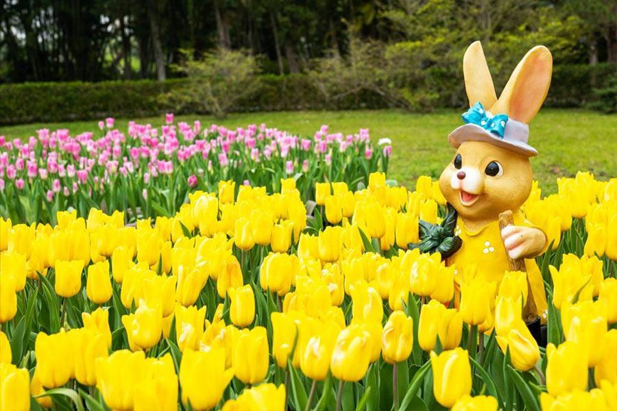 
                                                                        士林官邸鬱金香展
                                                                        