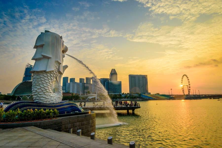 
                                                                        ☄︎新加坡 機+酒
                                                                        