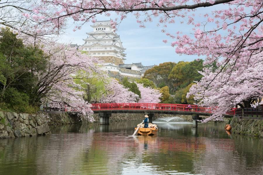 
                                                                        ☄︎大阪 機+酒
                                                                        