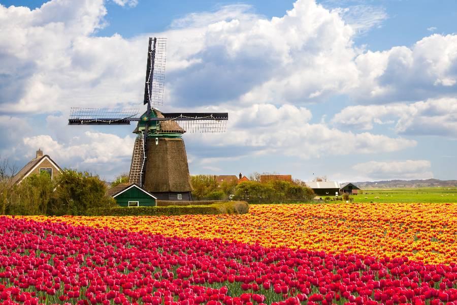 
                                                                        ☄︎阿姆斯特丹 機+酒
                                                                        