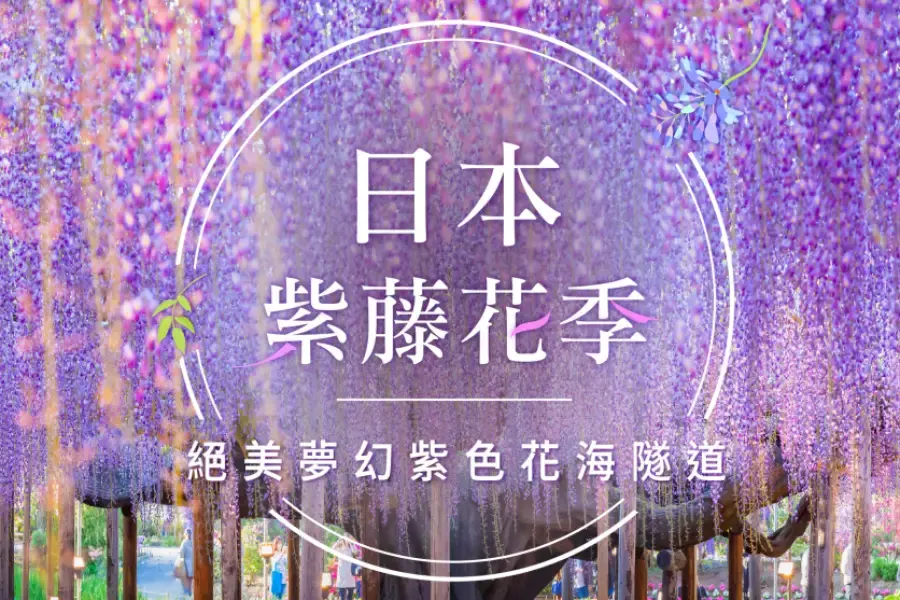 
                                                                        2026日本紫藤花季｜關東、關西、九州紫藤景點推薦，最佳花期總整理！
                                                                        