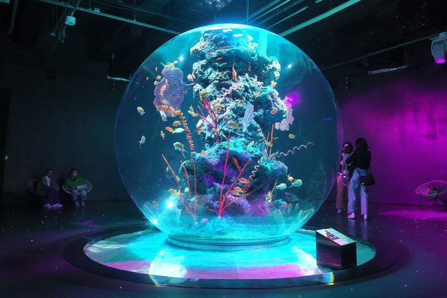 
                                                                                                        神戶átoa水族館
                                                                                                        