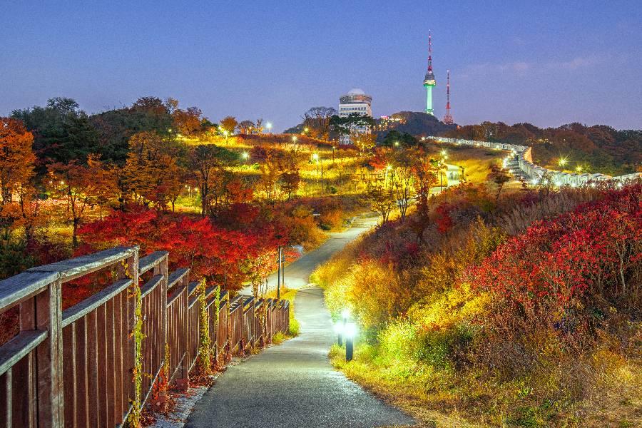 
                                                                                                                        首爾(金浦)✈2天1夜
                                                                                                                        