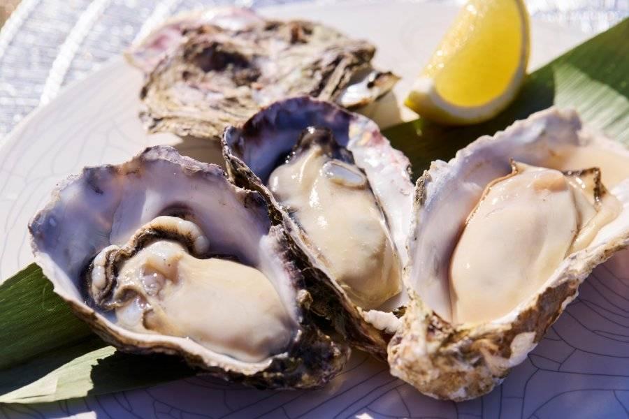 
                                                                        九州風味 Taste of Kyushu
                                                                        