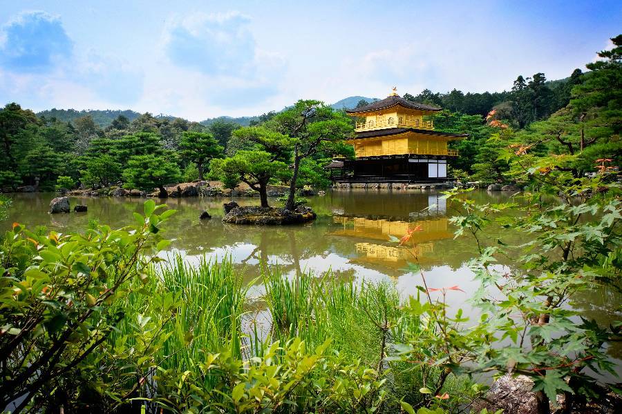 
                                                                        金閣寺
                                                                        