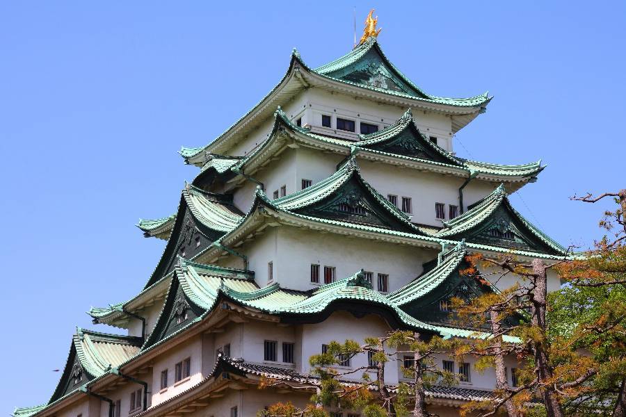 
                                                                        🌿名古屋 機加酒🌿
                                                                        